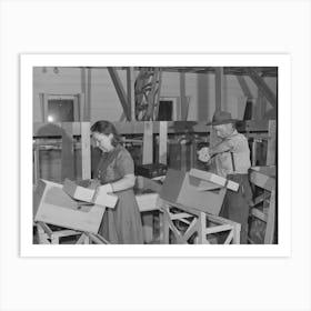Farm Worker Practicing Wrapping Apples In The Apple Wrapping School At The Fsa (Farm Security Administration) Farm Art Print