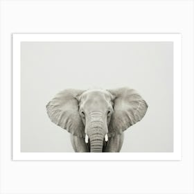 Elephant Canvas Print Art Print