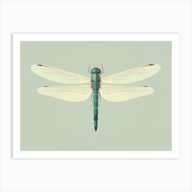 Dragonfly Common Green Darner Anax Juni Illustration 5 Art Print