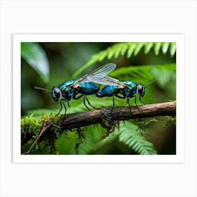 A Pair Of Vibrant Siam Blue Flies Perching On A Slender Rainforest Branch Construct Their Nest Amo (1) Art Print