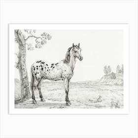 Standing Mottled Horse, Jean Bernard Art Print