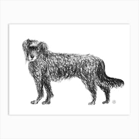 Dirty Dog - Anton Maliar drawing black and white minimal animal pet pencil graphite Art Print