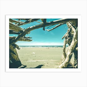 Driftwood Beach - Wanderlust Sea Landscape Art Print