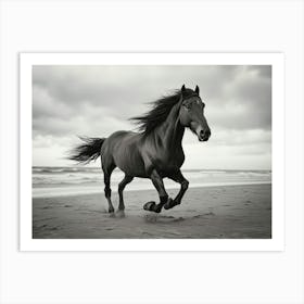 Black Horse Galloping On The Beach Art Print