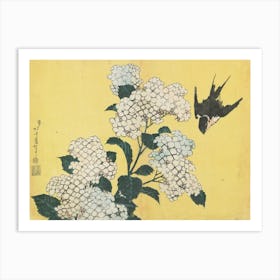 Hydrangeas And Swallow, Katsushika Hokusai Art Print