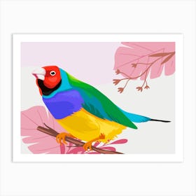 Parrot On Branch Art Print