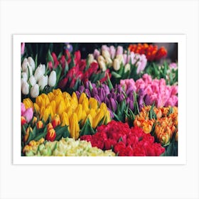 Flower Shop Tulips Art Print