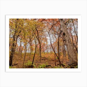 Idyllic Autumn Forest Landscape Art Print