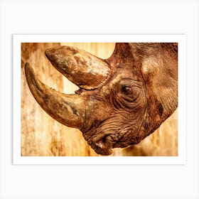 Rhinoceros 1 Art Print