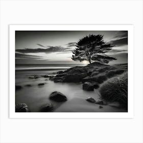 Lone Tree 31 Art Print