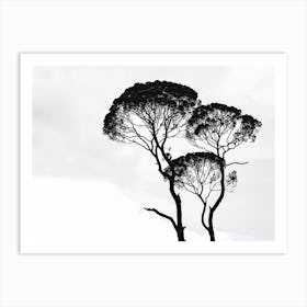 Black And White Tree Silhouette Art Print