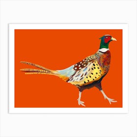 Pheasant on Orange Art Print