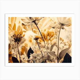 Yellow Daisies Spring Flowers Art Print