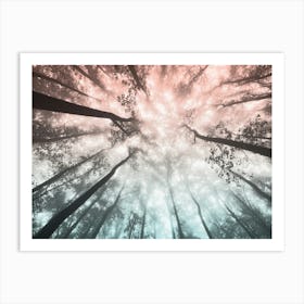 Fir Forest Pastel Dreams Art Print
