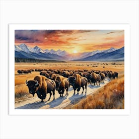 Wild Grasslands Herd Of Bison Art Print