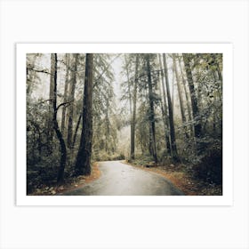 Redwood Road - National Park Photography Art Print