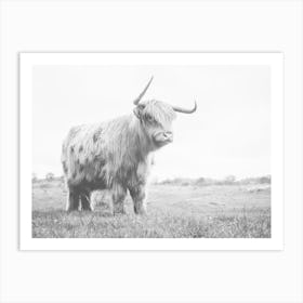 Bull Cow Art Print