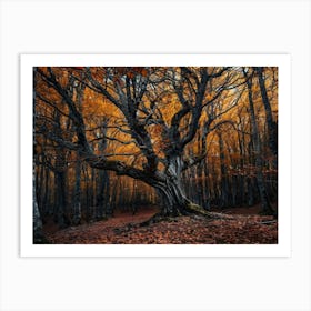 Autumn Forest 23 Art Print