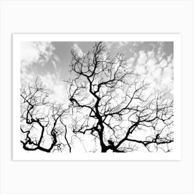 Bare Tree With Cloudy Sky Art Print