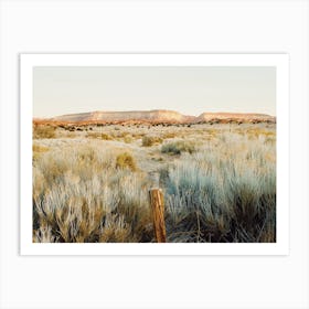 Sagebrush Desert Art Print