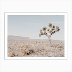 Joshua Tree Landscape Art Print