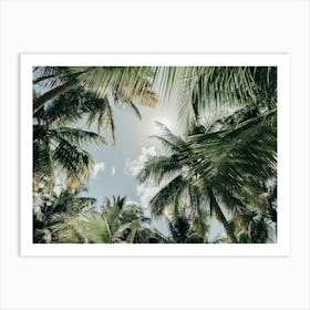 Tropical Vibe On The Dominican Republic Art Print