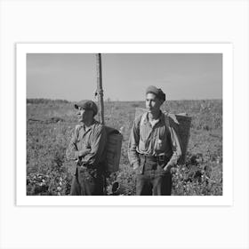 Blueberry Pickers With Full Load Near Little Fork, Minnesota By Russell Lee Art Print