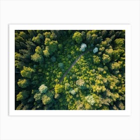 Aerial View Capturing The Vibrant Canvas Of A Lush Green Forest In Springtime Canopy Of Dense Reju (3) Art Print