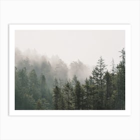 Oregon Forest Scenery Art Print
