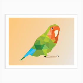 Colorful Parrot Art Print