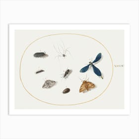 Two Moths With A Spider, A Caterpillar, And Four Other Insects (1575–1580), Joris Hoefnagel Art Print