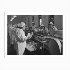 Skinning Cooked Tuna Before Canning, Columbia River Packing Association, Astoria, Oregon By Russell Lee Art Print