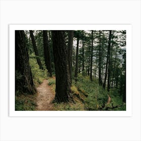 Side Trail Art Print