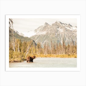 Grizzly Bear Fishing Art Print