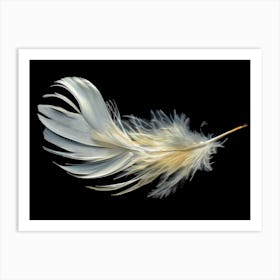 White Feather Art Print