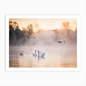 Majestic Swan Gliding Over Mystical Lake Reflection Below Ethereal Fog Swirling Early Morning Lig Art Print