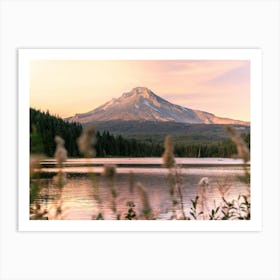 Mount Hood Wildflower Summer Sunset Art Print