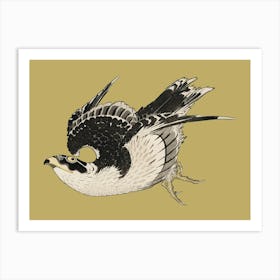 Hokusai Hawk In Flight Art Print