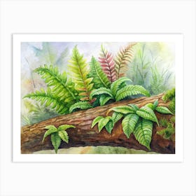 2 Exotic Tropical Ferns Growing On Mossy Logs Art Print