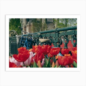 Amsterdam Tulips Art Print