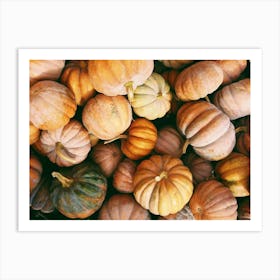 Small Pumpkins Art Print