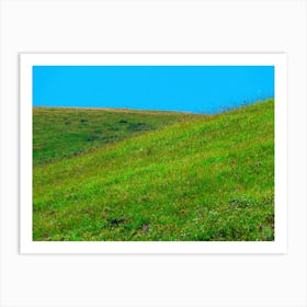 Grassy Hill 20190814 55 1ppub Art Print