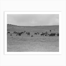 Untitled Photo, Possibly Related To Cutting Out Calves From Herd, Roundup Near Marfa, Texas By Russell Lee Art Print