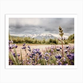 Purple Wildflowers Art Print