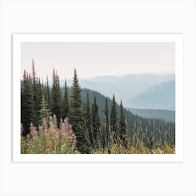 Tall Forest Pines Art Print