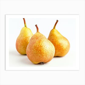 Three Pears On A White Background Art Print