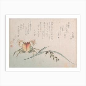 Crab And Rice Plant, Katsushika Hokusai Art Print