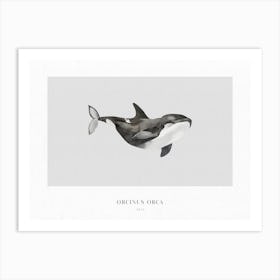 Boho Ocean 1 Orca Whale Art Print