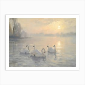 Swans On The Lake Art Print