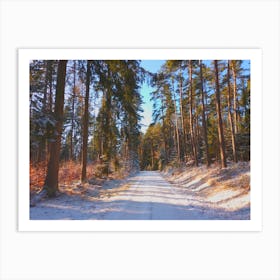 Winter Road In The Forest Art Print